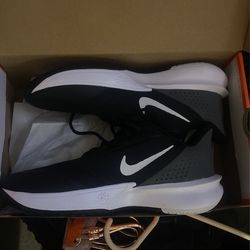 Nike Brand New Shoes 
