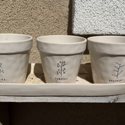 Herb planter with tray