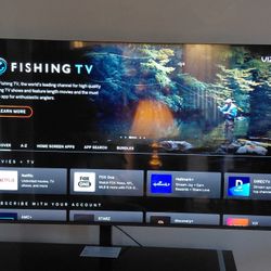 75" VIZIO SMART TV with stand