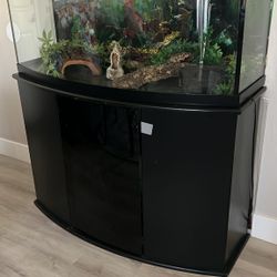 Huge Fish Tank