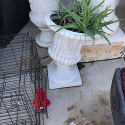 Base With Plant 