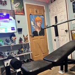 Weider Weight Bench, Bowflex Adjustable Barbell And Weight Plates 