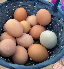 Fresh organic eggs