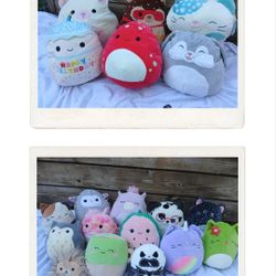 Squishmallows 