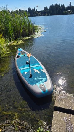 Stand up Paddleboard 11'  SUP Body Glove from Costco