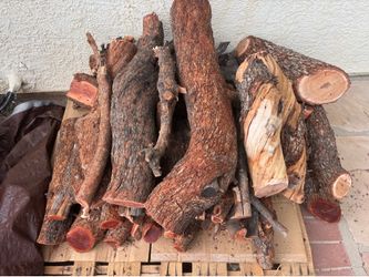 African sumac wood