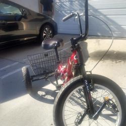 Adult Tricycle W Rear Basket