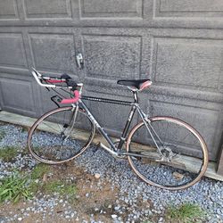 Trek Carbon 2300 Bicycle