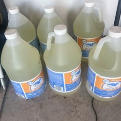 Blue Whale Liquid Chlorinator