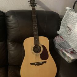 Alvarez Regent Guitar