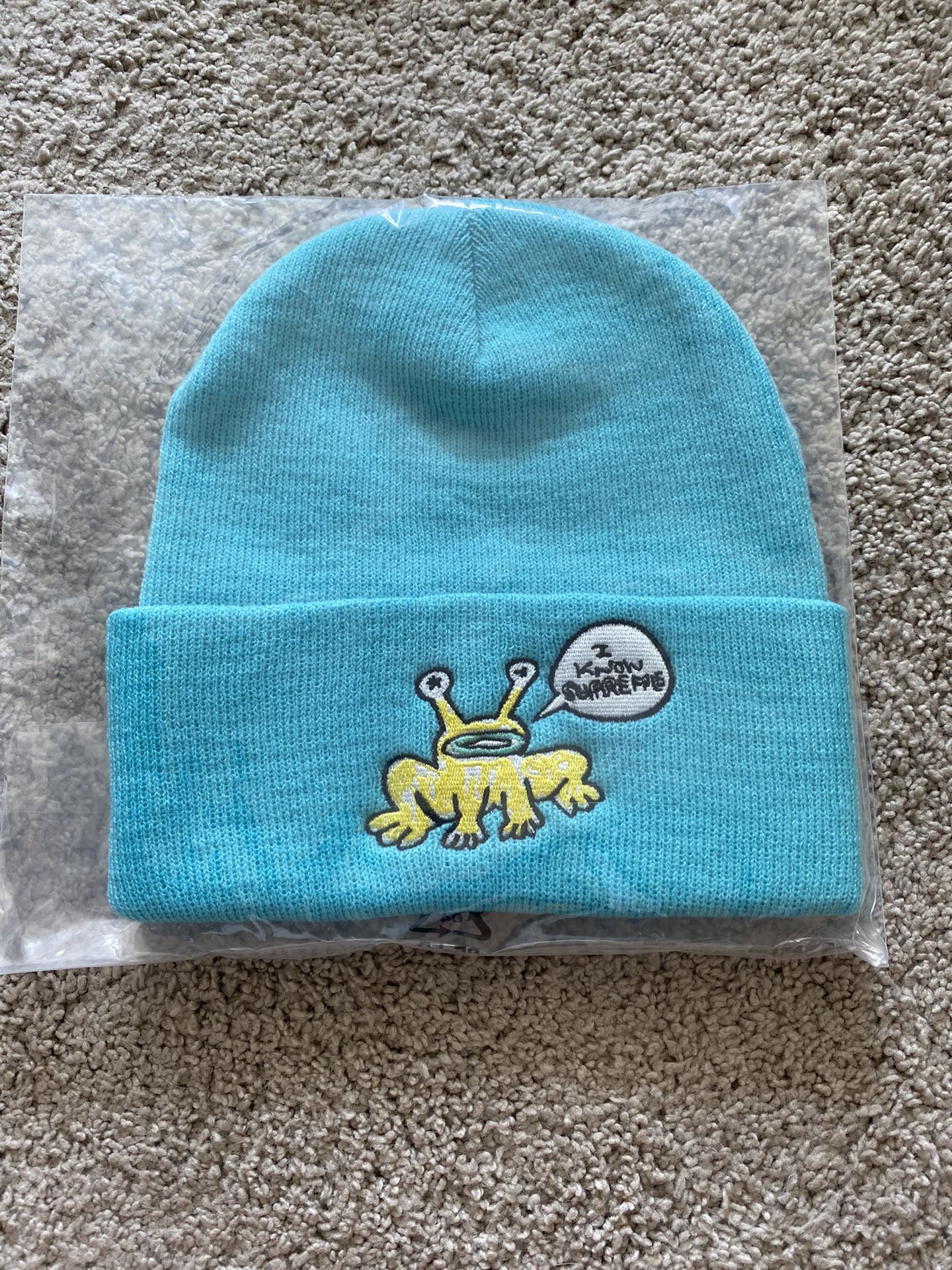 Supreme Daniel Johnston Frog Beanie Turquoise Brand New