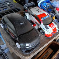 2 Kids Rc Cars Nikko 