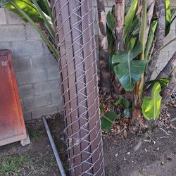 Chain-Link Vinyl Fencing