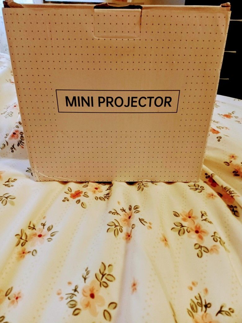 Mini LED Projector.