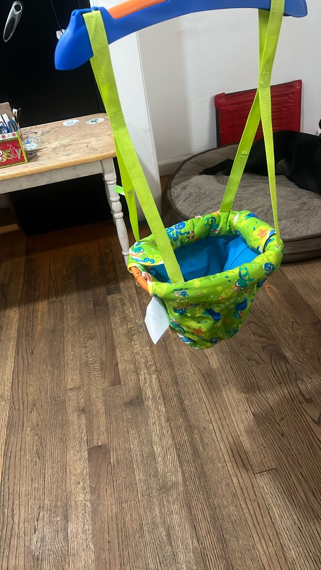 Door Jumper Baby Einstein