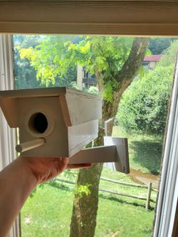 Birdhouse Security Camera