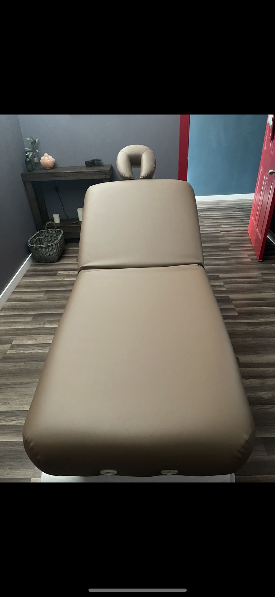Electric Medical Spa Treatment Table (Facial Chair/Bed)