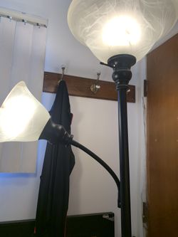 Solid Black Metal Floor Lamp With )2) Lights One Adjustable And Glass Shades