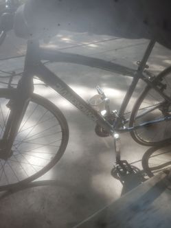 Diamondback Insight 1