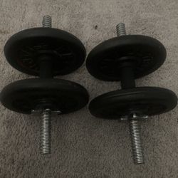 20 LB Dumbbells
