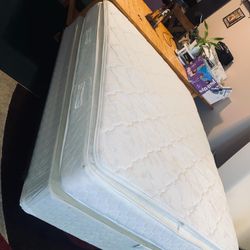⭐️⭐️⭐️⭐️-$380 cama queen-1 white queen mattresses/box springs (box springs choice of blue or brown as white one sold) ($380 for each of bed  (mattress