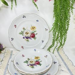 Mitterteich Bavaria Meissen Floral Gold Plates – Germany 