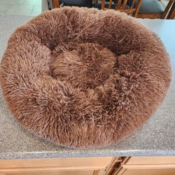 2 Small/medium Dog Beds 