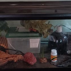 Terrarium/Aquarium  W Accessories And Necessities 