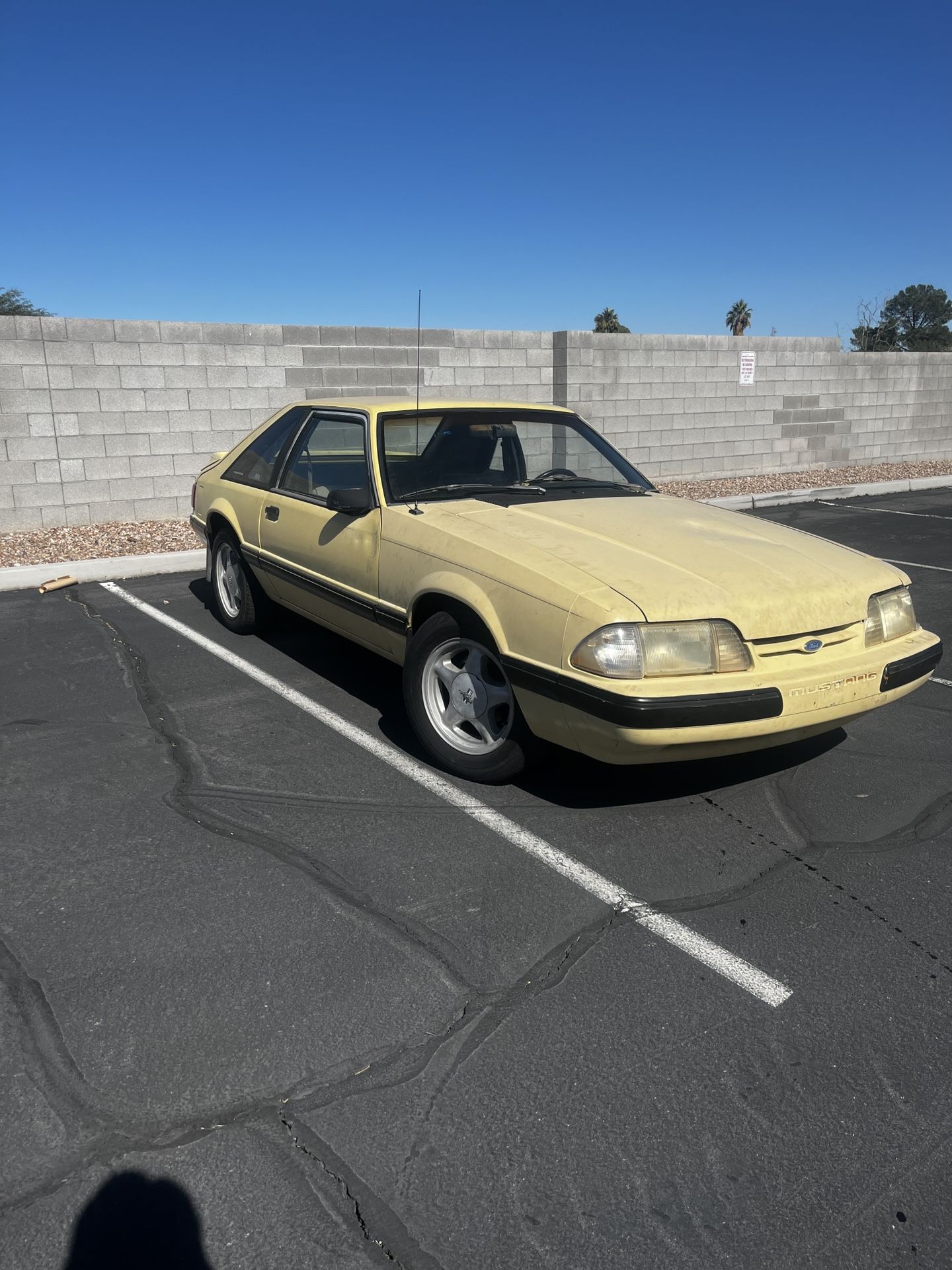 1989 Ford Mustang