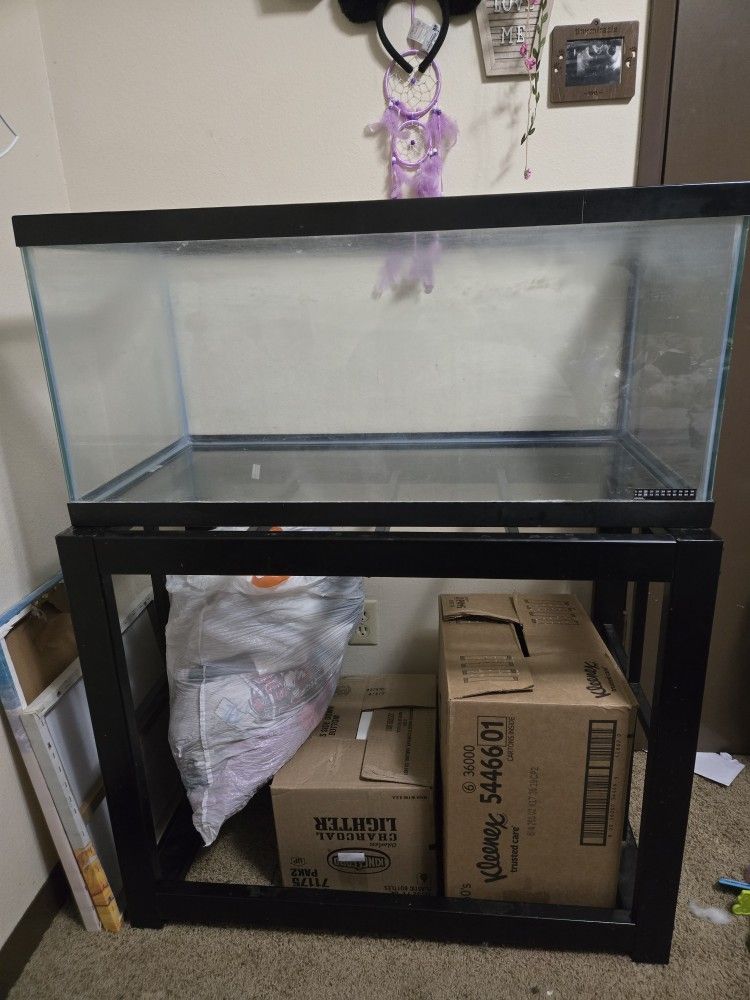 Fish Tank