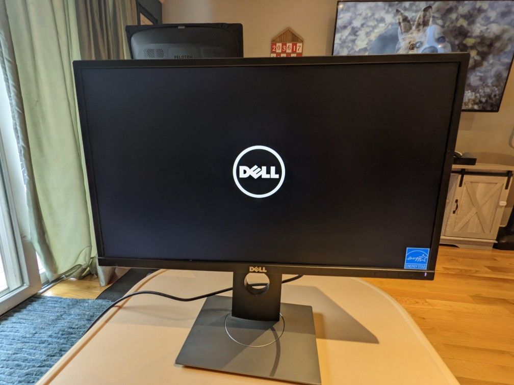 Dell 23.8" Flat Screen Monitor