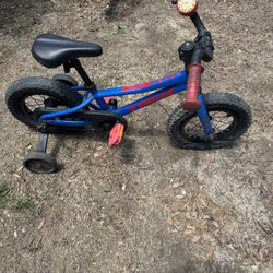 Trek 12inch Bicycle Kids