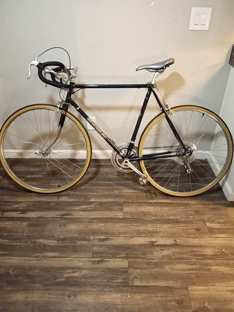 Old School Shogun 10 Speed