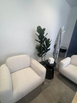 5.5” Fiddle Leaf Artificial Tree 