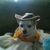 Jose