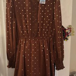 Brand New Brown And gold Dress