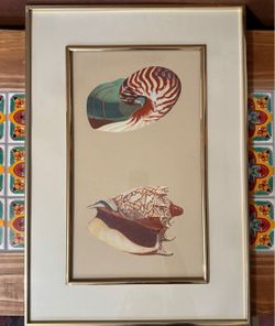 Seashell Artwork