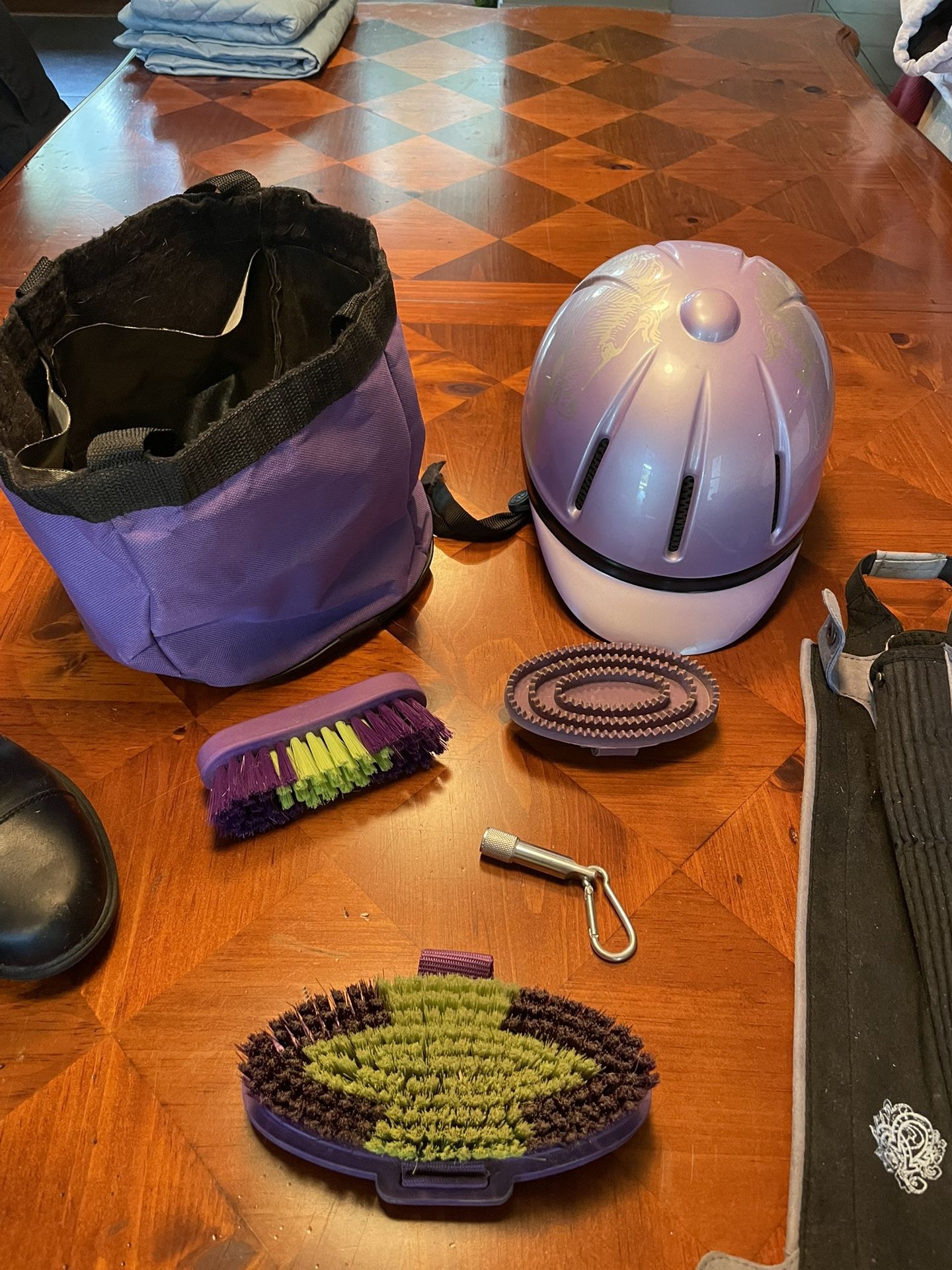 Girls Horse Rising And Care Starter Kit