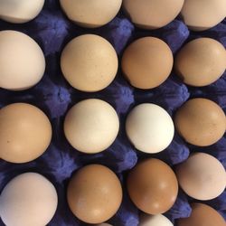 Eggs