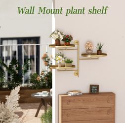 Window Wall Rotating Plant Stand