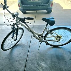 Womens adult schwinn bike