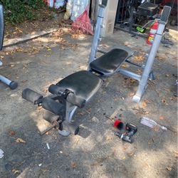Exercise Bench