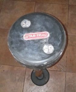 55lb STAR TRAC EZ Curling Barbell Weight
