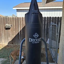 Boxing Bag And Stand