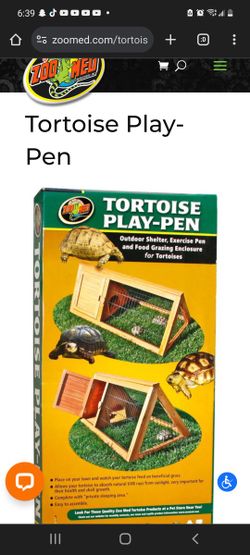 Tortoise play Pan Turtle