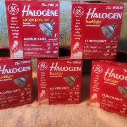 75w PAR Halogen Bulb