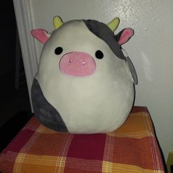 Squishmallow Connor 12"