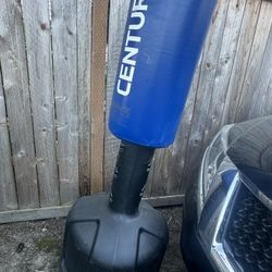 Century Free-stand Punching Bag