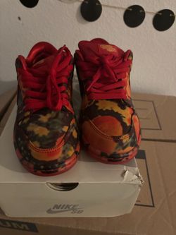 Wizard of Oz Sb