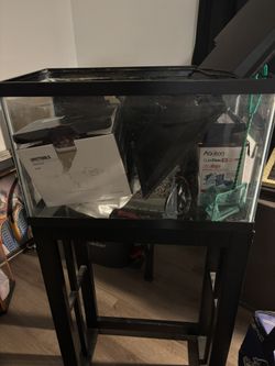 10 gallon Aquarium Just Add The Fish